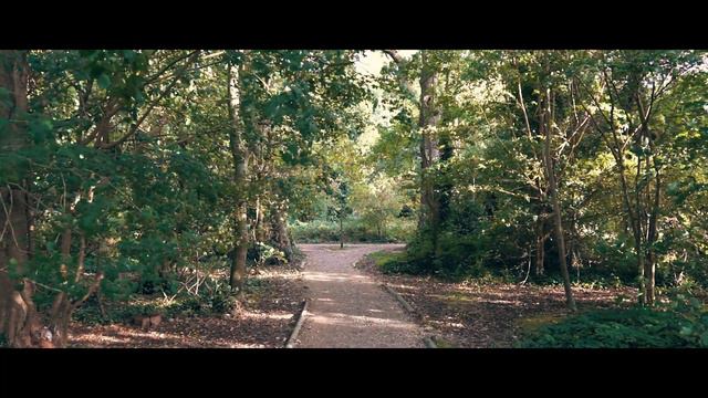 Feiyutech AK4500 Review | Fantastic Gimbal for DSLR or Mirrorless смотреть онлайн