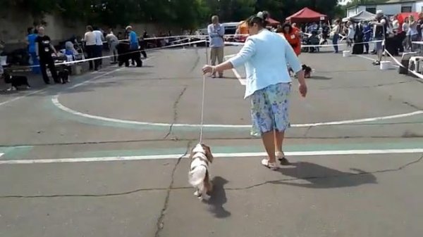 Моно ККЧС ранга ПК 16.07.17. Сравнение на ЛК. Эксперт - Шамиль Абракимов.