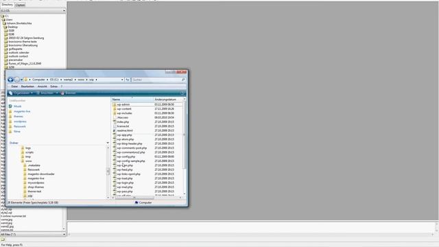 Bravissimo Wordpress Theme mySql dump installation смотреть онлайн