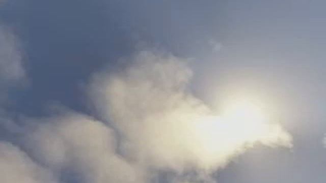 Let`s Test Fahr Simulator 2009 bor lecken for Lecken смотреть онлайн