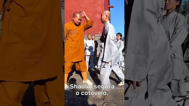 Olha isso #kungfu #artemarcial #kung смотреть онлайн
