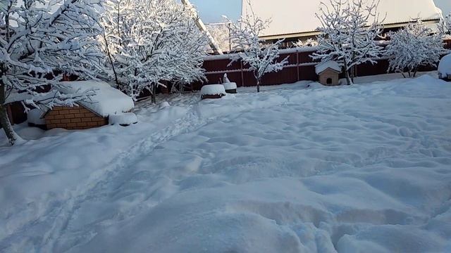 Будут и лекции, и йога, и козы смотреть онлайн