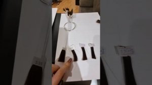 В чём отличие между перманентным стойким и тонирующим полуперманентным красителем ? ?