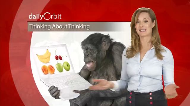 Daily Orbit - Earth's 100 Billion Siblings смотреть онлайн