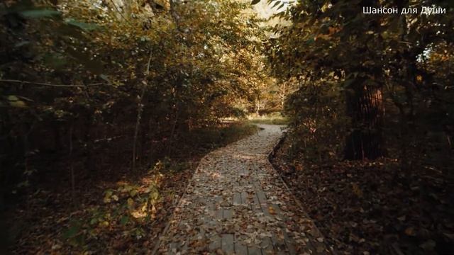 Красивая песня для Души. Листья кружатся Душевная песня приятная мелодия . Автор Андрей Картавцев смотреть онлайн