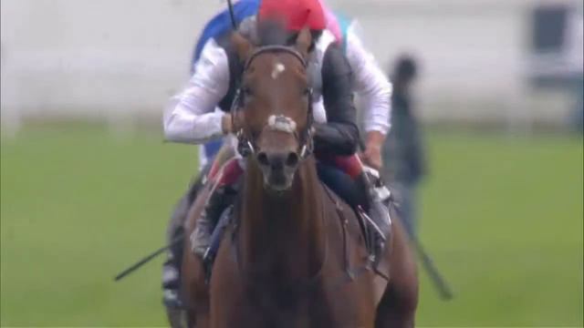 2018 Royal Ascot Contender: Cracksman смотреть онлайн