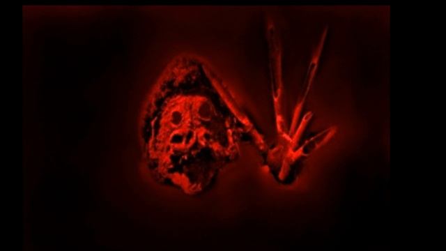 ОБЗОРЫ (ВЫПУСК 27) СМЕРТЕЛЬНОЕ ИЗОБРАЖЕНИЕ DS10012.JPEG