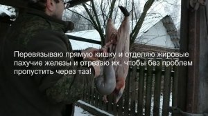 Отделение струи и потрошение бобра! Или как я вырезаю струю!