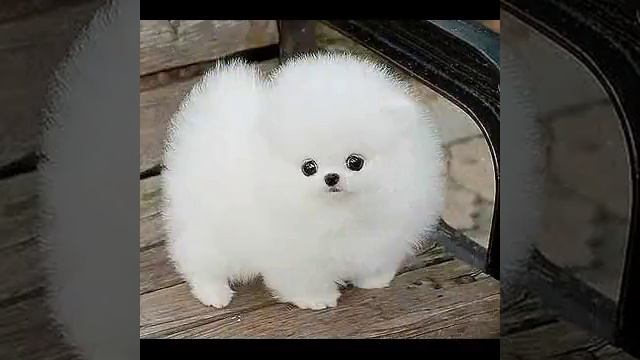 Мои лучшие друзья смотреть онлайн