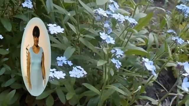 С Днем рождения Оксана! смотреть онлайн