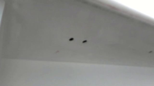 Устранение конденсата. Переделка подоконников. Улучшаем конвекцию воздуха. СОВЕТЫ ОКОНЩИКА. смотреть онлайн
