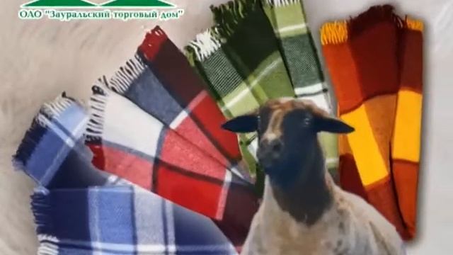 Одеяла и пледы в Зауральском торговом доме смотреть онлайн