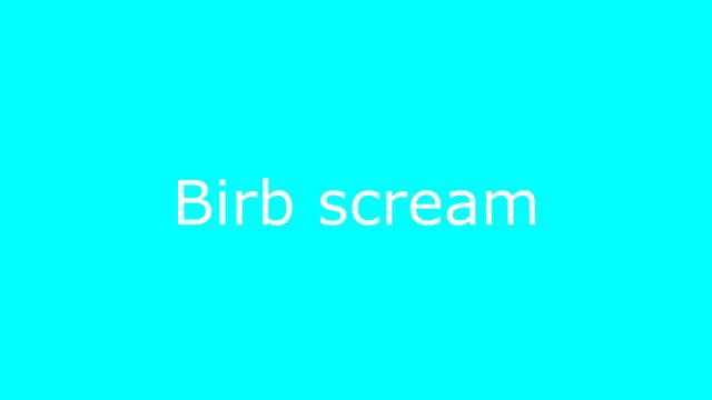 Top 5 Bird смотреть онлайн