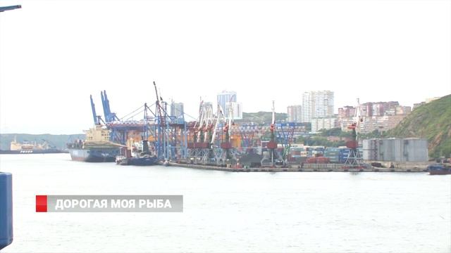 Слишком большой улов: Рыбный порт не справляется смотреть онлайн