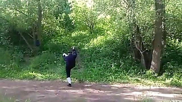 Меч запутанного следа Уданских гор. Дисциплина У Дао-цзы .