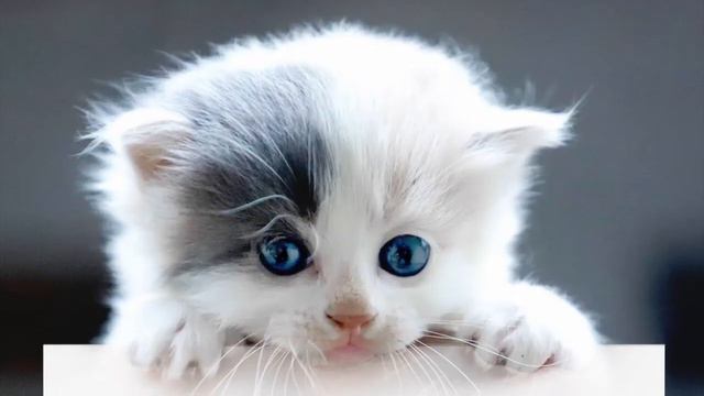 З Днем Валентина, коханий ❤️ смотреть онлайн
