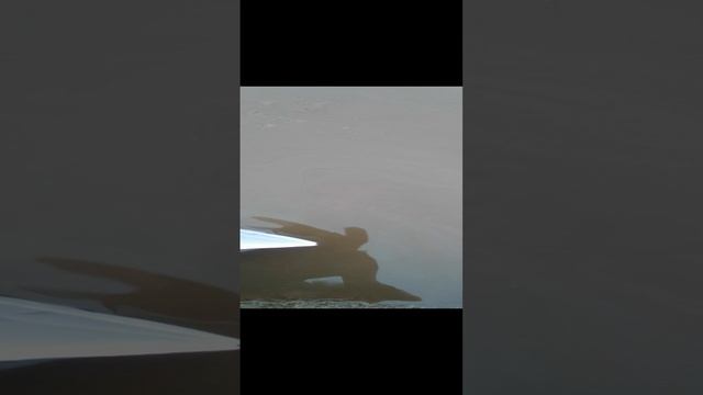 шоу Баська и Васька. запускаем кораблики в луже. #shorts