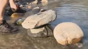 Как ловят гигантского сома Гунч (Bagarius yarrelli) в реке Рамганга (левый приток Ганга) ?