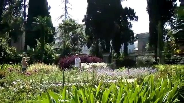 Georgia. Sukhumi საქართველო. სოხუმი смотреть онлайн