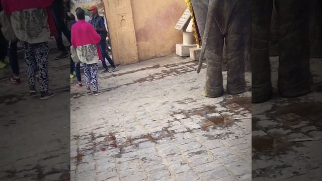 Волшебный Джайпур/Jaipur смотреть онлайн