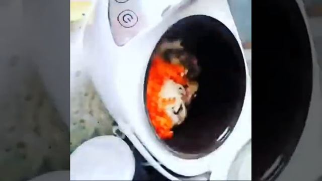 Утка с картофелем в мультиварке смотреть онлайн