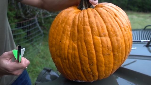 Стрела против римского шлема | Разрушительное ранчо | Перевод Zёбры смотреть онлайн