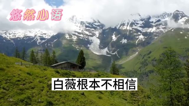 （完整版）联姻嫁给超级冷面总裁，却是他费尽心机谋划，先婚后爱霸总宠妻宠入骨 смотреть онлайн