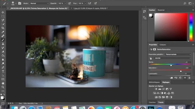 PHOTOSHOP MANIPULATION : MINIATURIZATION
