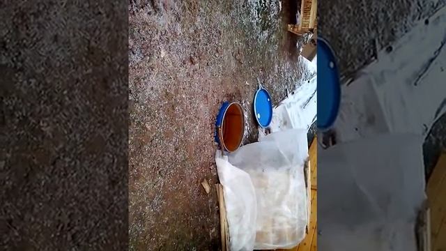 2014 11 17 Копка ямы и установка бочки для туалета смотреть онлайн