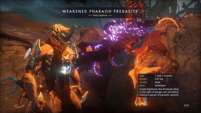 Warframe 2020: How to get Tags for Son Token & Common Avichaea. смотреть онлайн