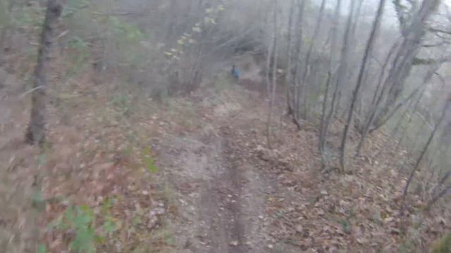 variante alta vecchia смотреть онлайн
