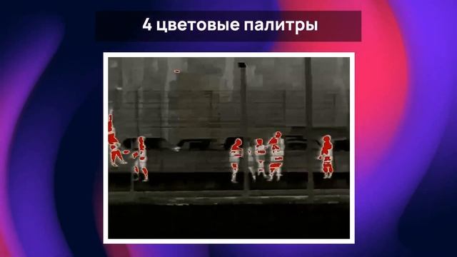 ОБЗОР НА САМЫЙ ПОПУЛЯРНЫЙ ТЕПЛОВИЗИОННЫЙ ПРИЦЕЛ - iRay Saim Sct 35 v2 - изображение, управление смотреть онлайн