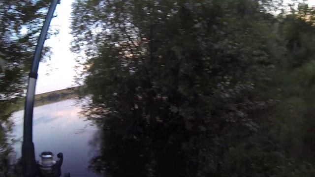 ВЕЧЕРНЯЯ РЫБАЛКА НА ПОПЛАВОЧНУЮ УДОЧКУ! ЛОВЛЯ КАРАСЯ! смотреть онлайн