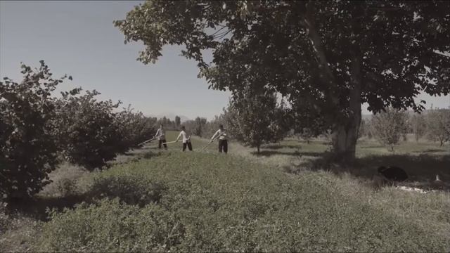 Предлагаю посмотреть фильм (Холодное солнце ) На реальных событиях! смотреть онлайн