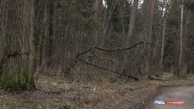 Последствия сильного ветра смотреть онлайн