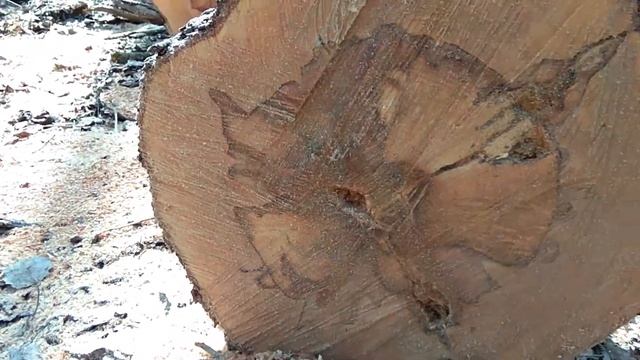 Груша на дрова 4 часть смотреть онлайн