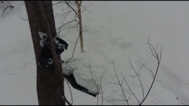 Разбили снегоход. Сахалин. Спамберг-2, неудача. Snowmobiles. Sakhalin. Russia смотреть онлайн