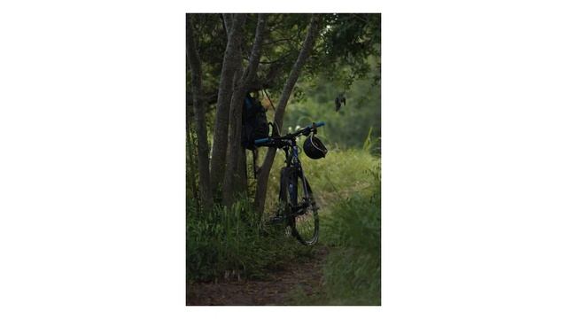 Revisiting the Canon 40D - Exceptional Build Quality and Performance for the Price смотреть онлайн