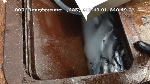 Комплекс по производству и хранению жидкого льда ISP-60CT (ООО "Владфризинг") смотреть онлайн