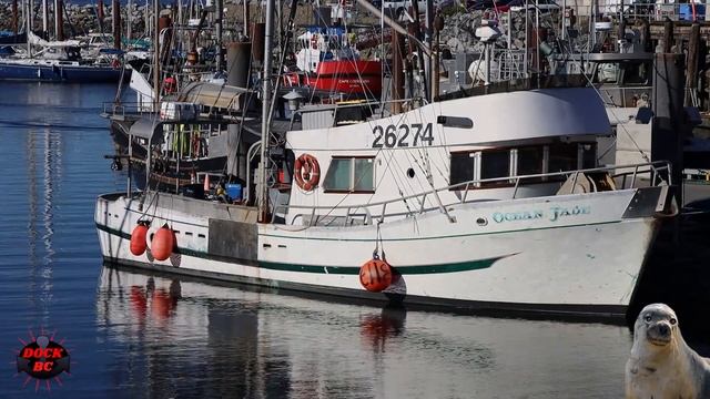 Ocean Jade / French Creek Marina / Dock BC смотреть онлайн