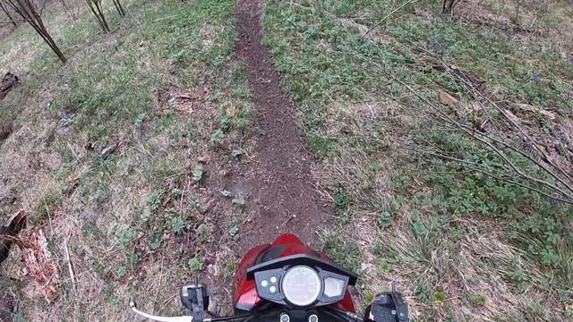 ЭНДУРО НА СКУТЕРЕ ПО ЛЕСУ С ПАЦАНАМИ НА YCF 150/KAYO 170/IRBIS TTR 250 [GoPro] смотреть онлайн