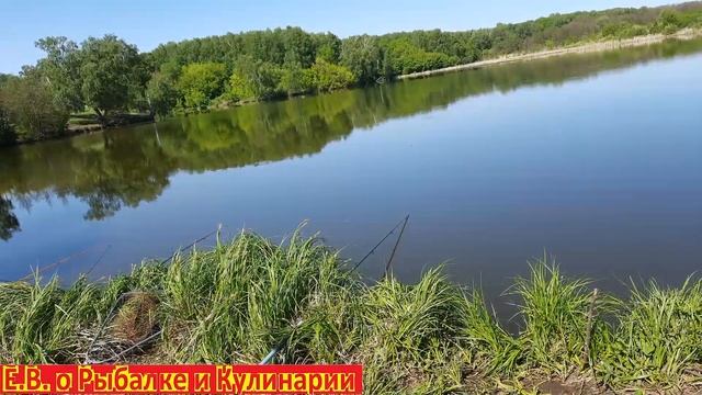 Садовый надежный зонт с Леруа Мерлен, отлично подойдет для рыбалки, чтоб защититься от солнца. смотреть онлайн