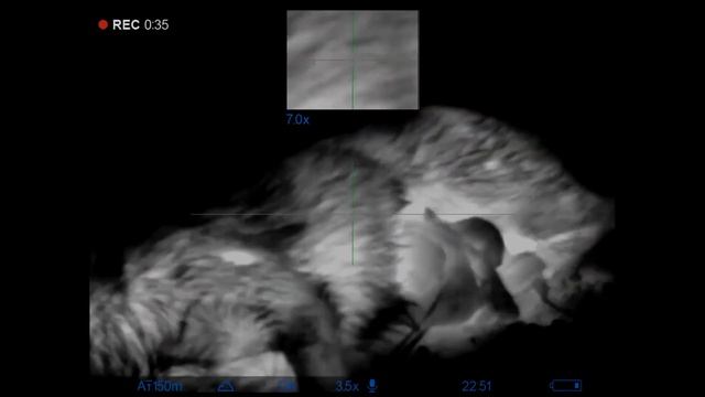 РЕГУЛИРОВАНИЕ ЧИСЛЕННОСТИ ХИЩНИКОВ-2 -ШАКАЛЫ. смотреть онлайн