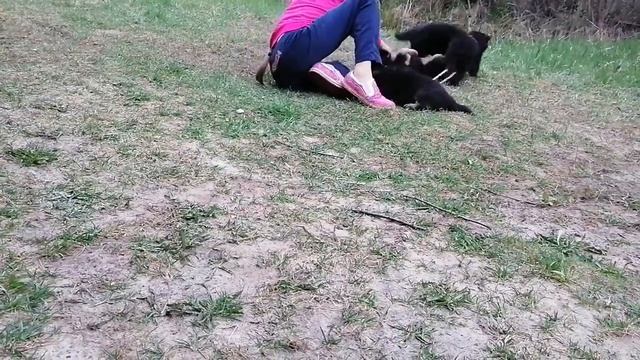 4 мая 2020 г. (2).mp4 смотреть онлайн
