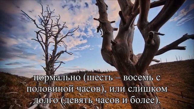 Ученые выяснили, что бедность вредна для сердца — Статья смотреть онлайн