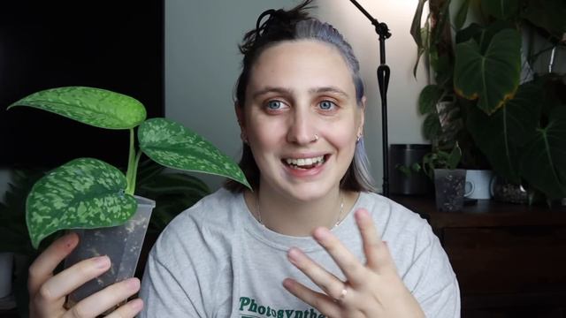 My Top 3 & Bottom 3 Plants this Month 🪴🍂 смотреть онлайн
