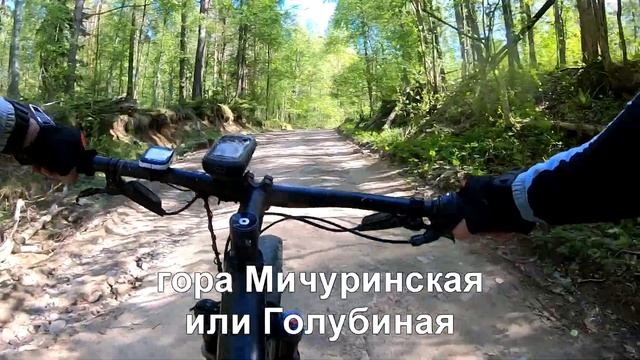 Сосновая пунктирная кольцевая 22 мая 2021 смотреть онлайн