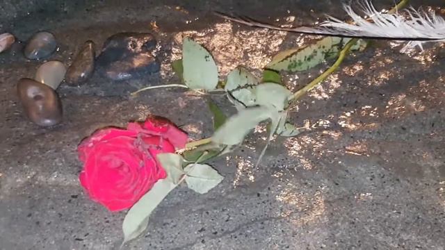 Ритуал - онлайн Освободиться от любого суда, долгов, претензий, закрыть любое дело на шоколад и алу смотреть онлайн