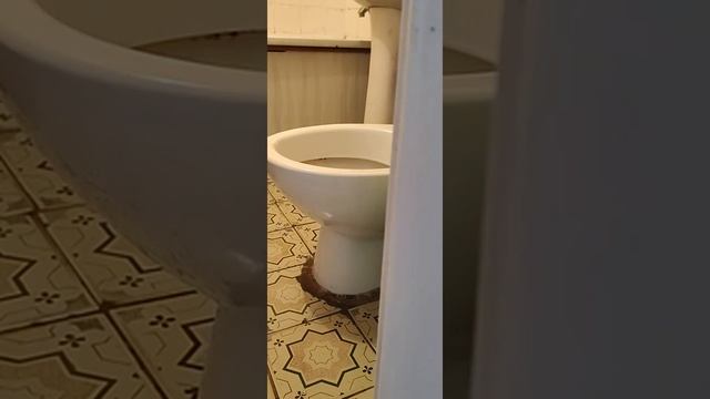 Прочистил засор в унитазе. смотреть онлайн