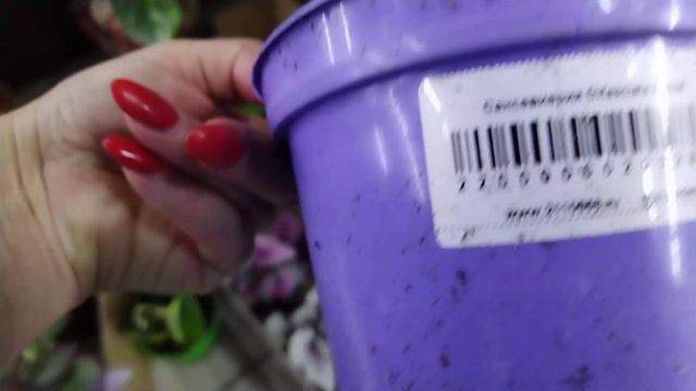 Первая поставка горшечки в 2024 году, 5 февраля смотреть онлайн